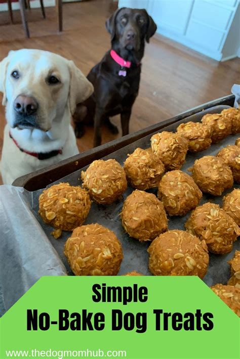 Easy Diy Dog Food