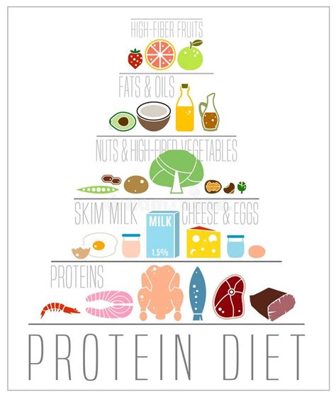 Low Carbohydrate Diet Poster Stock Vector Illustration Of Graphic
