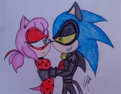 Miraculous Ladybug Amy And Cat Noir Sonic By Sonicblue1236 On