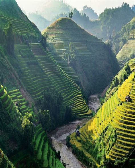 Rice Terraces Mu Cang Chai District Vietnam Beautiful Places To