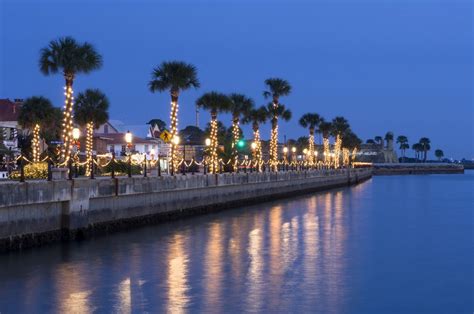 Things To Do For Christmas In Florida
