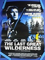 the last great wilderness video store Vhs original film poster movie ...