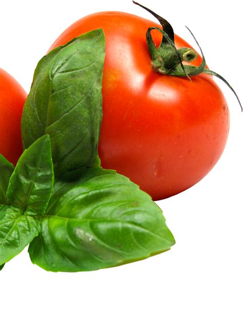Tomato Corner Greenmount Foods Premium Vegetables Stocks Sauces