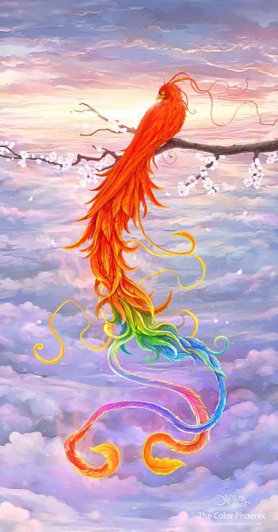 The Color Phoenix By Amorphisss On Deviantart Phoenix Art Phoenix