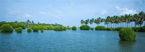 Kalpitiya Lagoon Attractions In Kalpitiya Love Sri Lanka