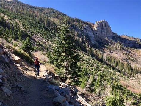 Mammoth Rock Trail Mountain Bike Trail Mammoth Ca