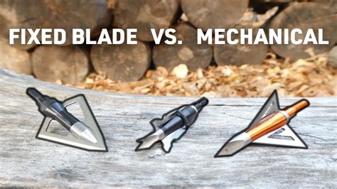 Fixed Blade Vs Mechanical Broadheads Which Is Best Youtube