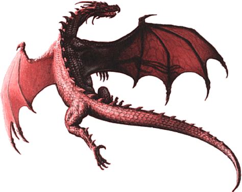 Realistic Dragon Clipart 20 Free Cliparts Download Images On