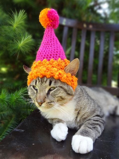 Pet Party Hat Pet Birthday Hat Party Hat For Cats Cat