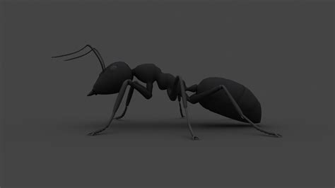3d model ants 001 rigged black ant vr ar low poly cgtrader