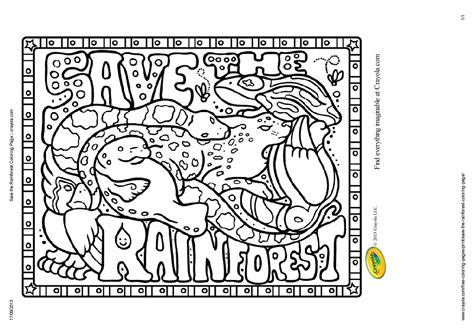Tropical Rainforests Coloring Pages Coloring Home