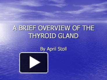 PPT A BRIEF OVERVIEW OF THE THYROID GLAND PowerPoint Presentation
