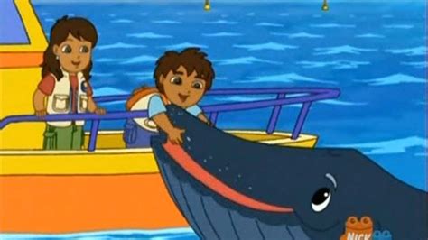 Go Diego Go 2x02 Baby Humpback To The Rescue Best Moment Plus