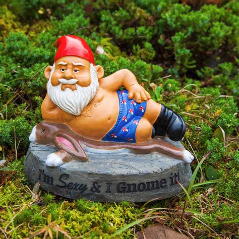 Im Sexy And I Gnome It All T Ideas T Ideas Gardening