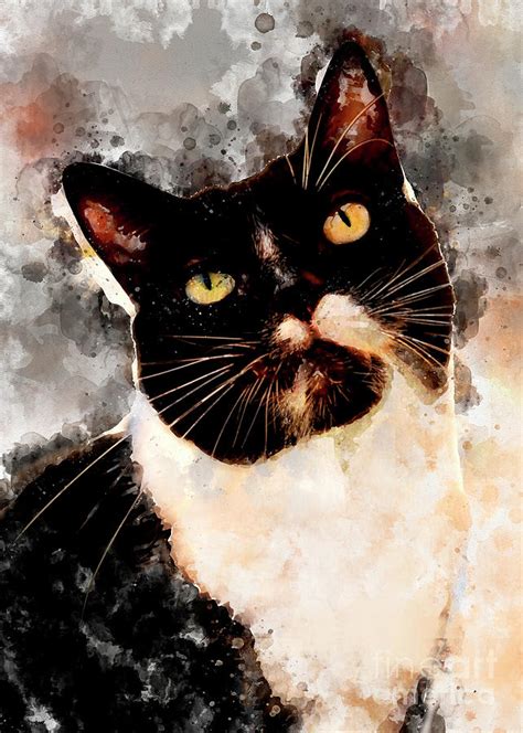 Cat Jagoda Art Digital Art By Justyna Jaszke Jbjart Pixels