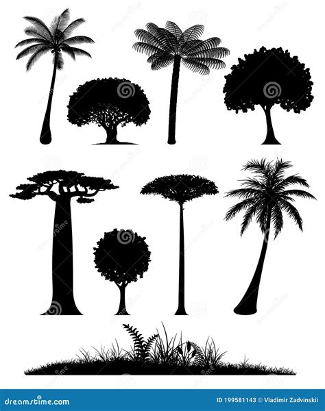 Set Of Trees Silhouettes Stock Vector Illustration Of Plant 199581143