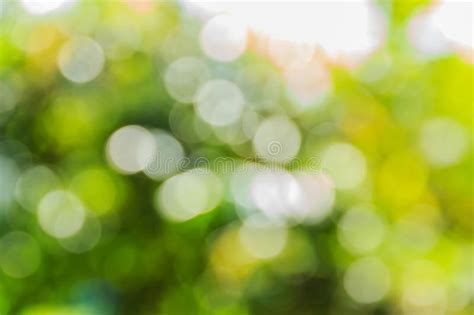 Abstract Bokeh And Blurred Green Nature Background Stock Image Image