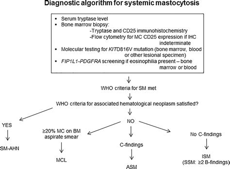 Systemic Mastocytosis Causes Symptoms Diagnosis Treatment Prognosis