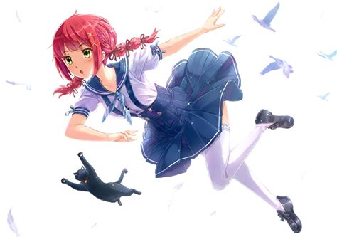 Download 1808x1272 Anime Girl Pink Hair Neko School Uniform Birds