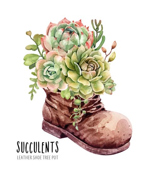 Premium Vector Watercolor Cacti And Succulents In Leather Boot Flower Pot
