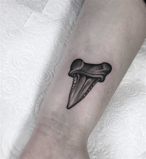 Shark Tooth Tattoo Best Tattoo Ideas Gallery