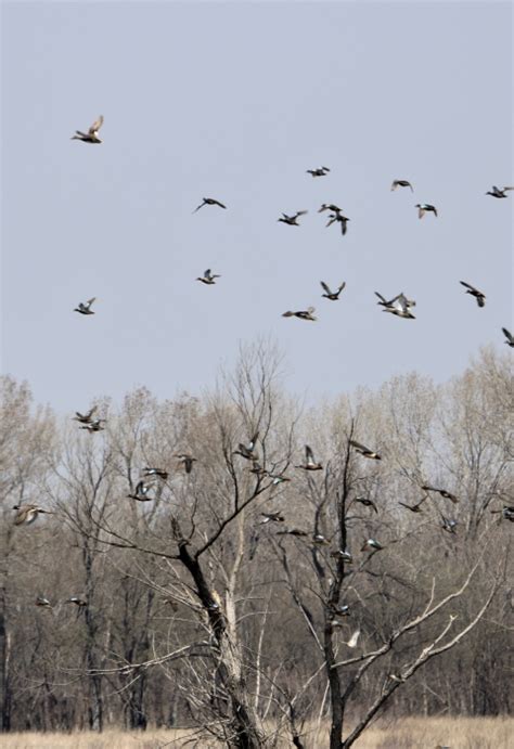 Flint Hills National Wildlife Refuge Us Fish And Wildlife Service