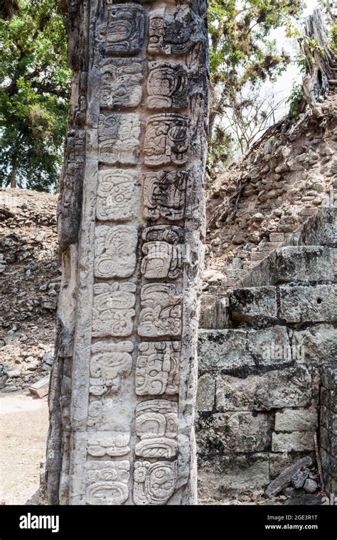 Mayan Hieroglyphs Banque De Photographies Et Dimages à Haute