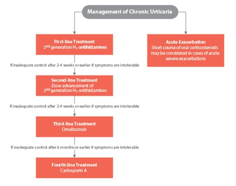 Chronic Urticaria Following Practice Guidelines