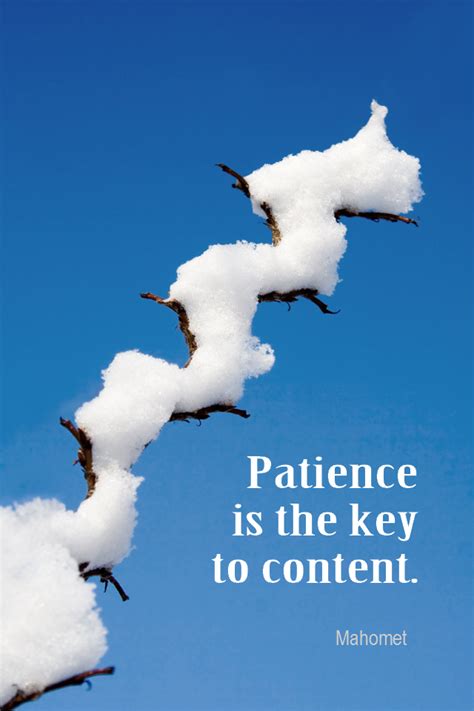 Daily Quotation For December 23 2015 Quote Quoteoftheday Patience
