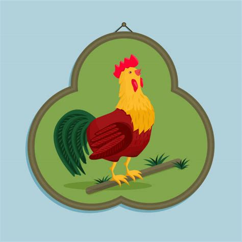 Cockfighting Illustrations Royalty Free Vector Graphics And Clip Art Istock