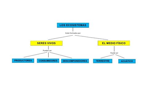 Mapa Mental Sobre Los Ecosistemas De México Mis Experiencias