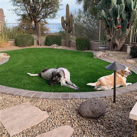 Pet Friendly Synthetic Turf: Why Dogs Love It! | Paradise Greens