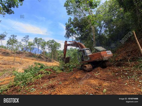 Deforestation Borneo Image And Photo Free Trial Bigstock