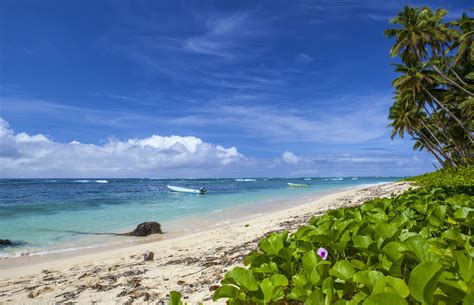 7 Breathtaking Beaches In Fiji Lonely Planet