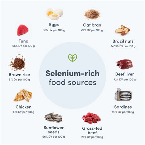 Selenium Benefits Everything You Need To Know Fullscript