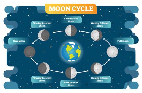 Moon Phases Diagram Illustrations Royalty Free Vector Graphics And Clip