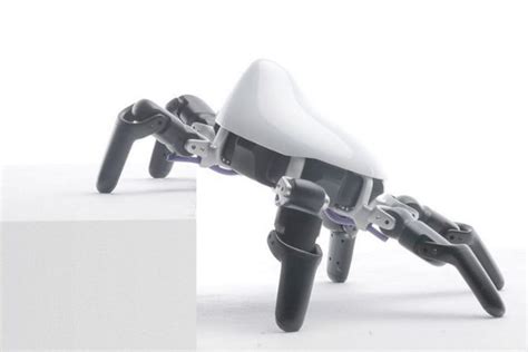 hexa robot a six legged agile highly adaptable robot