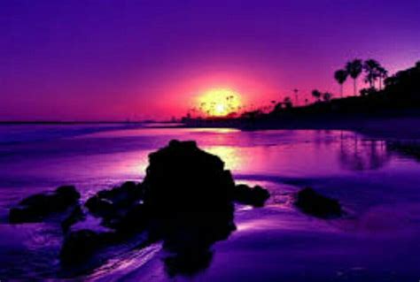 Pin By Carmen Uibel On Sunsetsunrise Beach Sunset Wallpaper Purple
