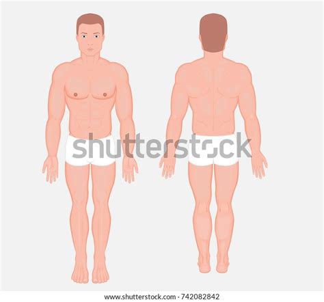 Posterior Frontal Anterior Back Views Naked Shutterstock