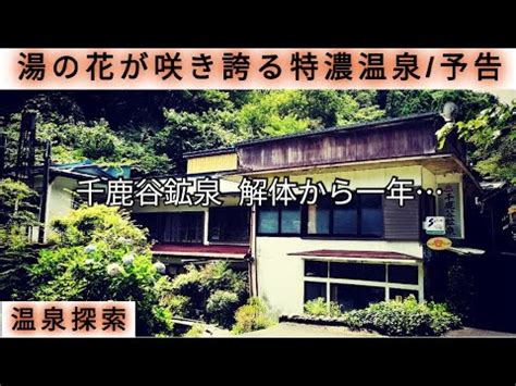 湯の花が咲き誇る特濃温泉予告Japanese hot springs where hot springs bloom YouTube