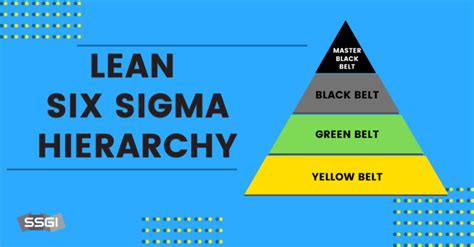 Lean Six Sigma The Definitive Guide 2020 Ssgi