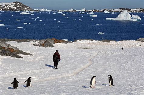 Antarctica Hike Stock Photos Pictures And Royalty Free Images Istock