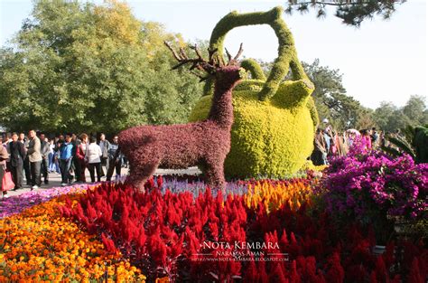 Muzika musim luruh is now known as muzika 2011! 4 Musim di Beijing