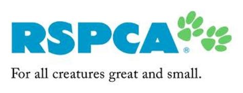 The Rspca Should Be Stripped Of Its Powers To Routinely Prosecute