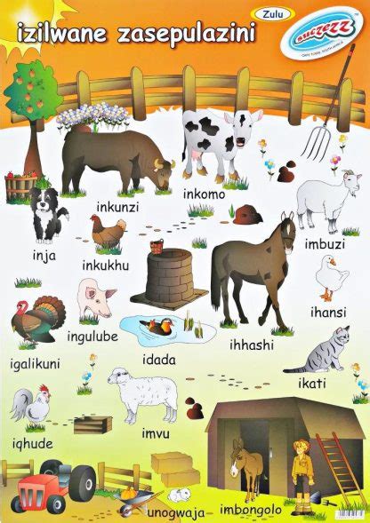 Izilwane Zasepulazini Farm Animals Zulu Laminated Poster 680mm X