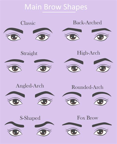 Common Eyebrow Shapes How To Find Your Perfect Brow Shape Eyebrows
