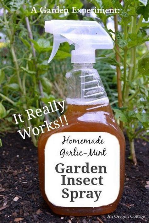 35 creative garden hacks and tips that every gardener should know organic insect spray mint