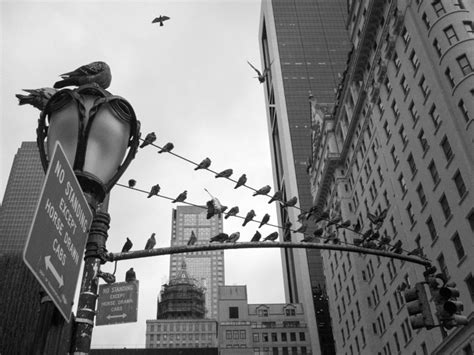 The Art Of Black And White Street Photography