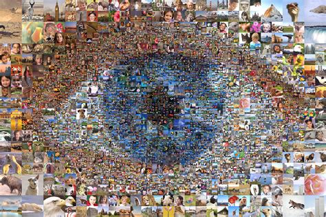 Select from a wide range of models, decals, meshes, plugins, or audio that help bring your imagination into reality. Picture Mosaics - Photo Eye Mosaic (Multi-size) Photo Mosaic