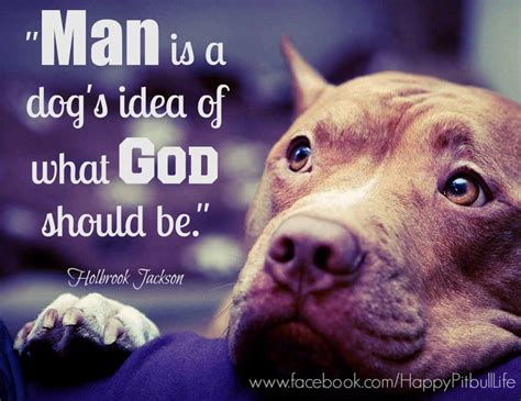 162 Best Images About Pitbull Quotes On Pinterest